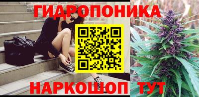 мдма Кингисепп