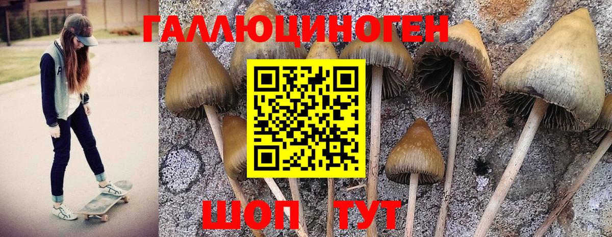 Псилоцибиновые грибы мухоморы  Псилоцибиновые грибы мицелий  Вход с VPN  наркота  Геленджик 
